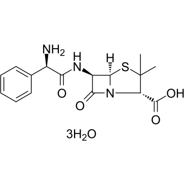 Ampicillin Trihydrate [D-(-)-α-Aminobenzylpenicillin] 7177-48-2